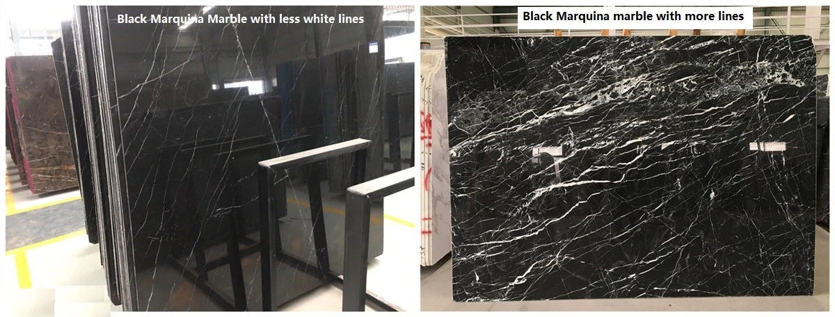 GUANGXI BLACK MARQUINa